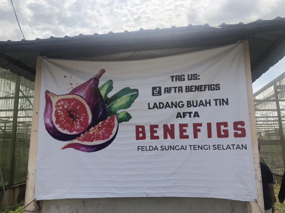 Ldg Buah Tin