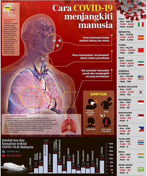 Cara COVID 19 menjangkiti manusia