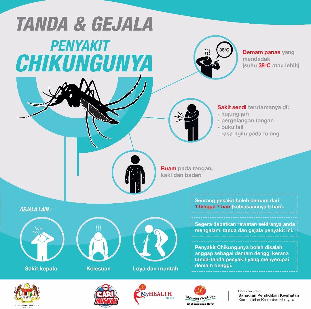 Nyamuk aedes penyebar virus 2