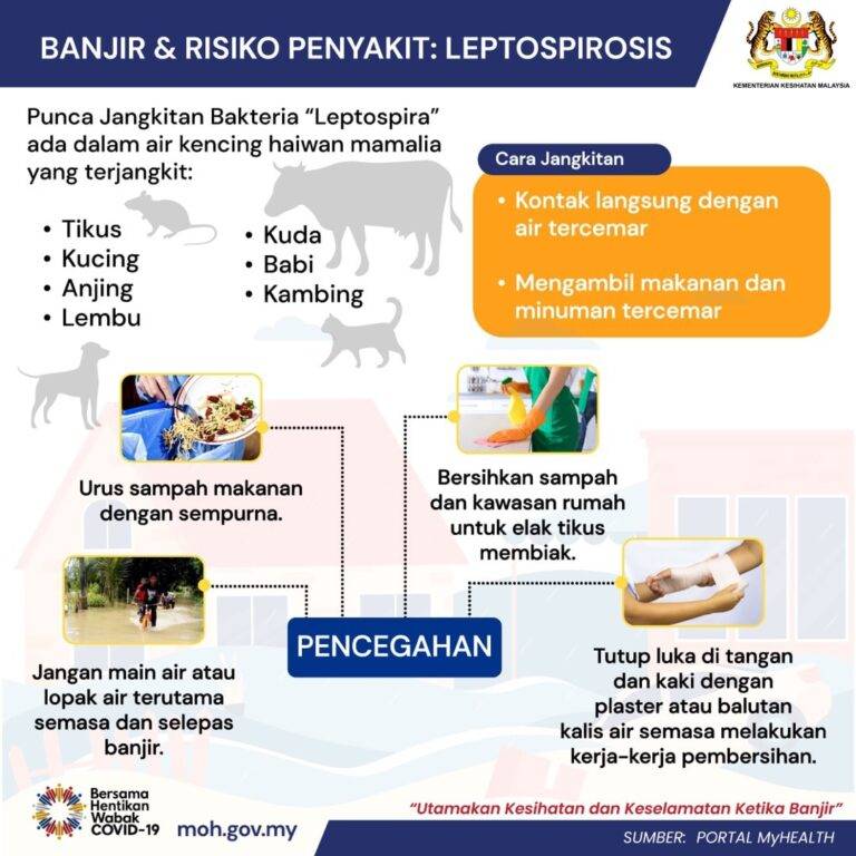WASPADA RISIKO PENYAKIT LEPTOSPIROSIS SEMASA BANJIR 1