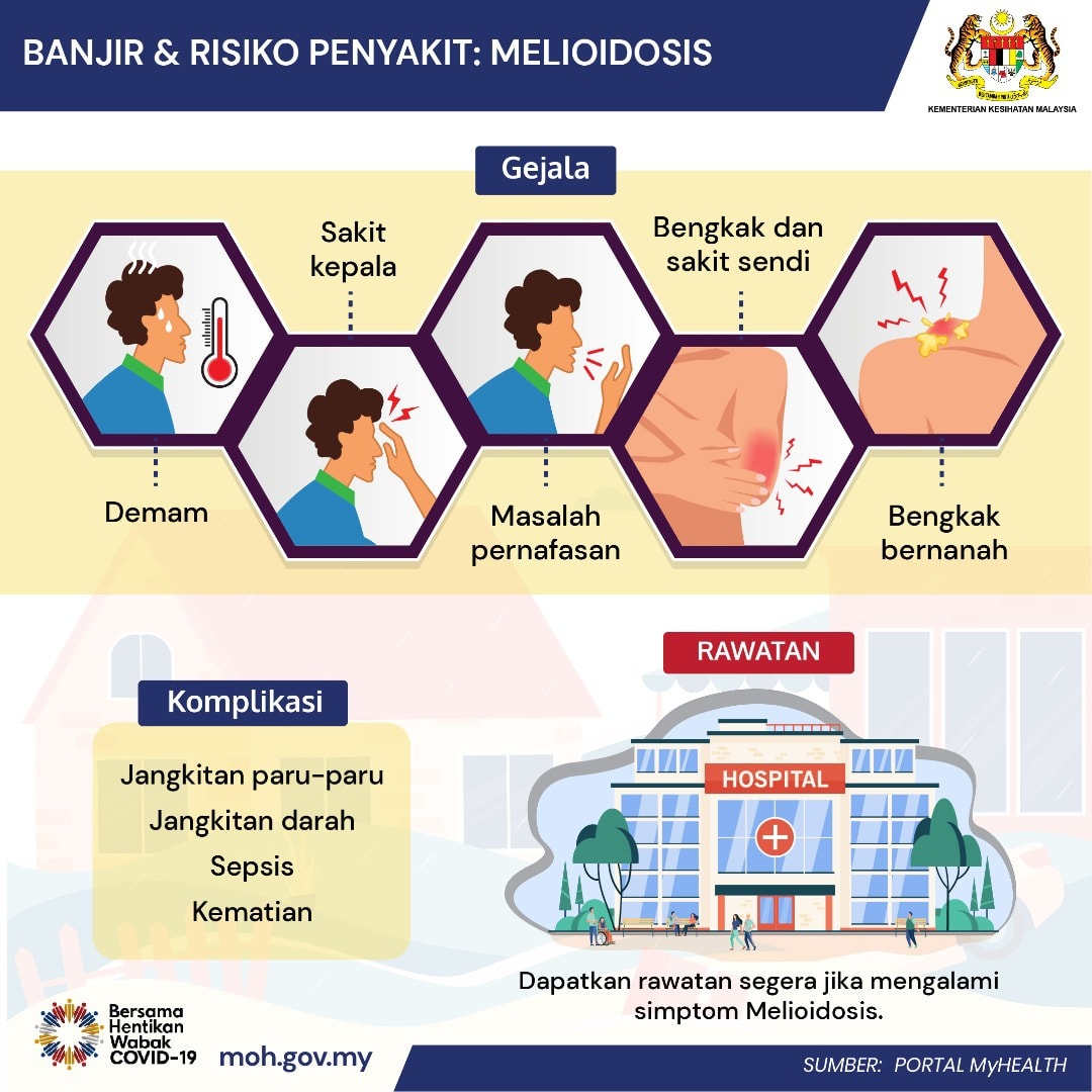 WASPADA RISIKO PENYAKIT MELIOIDOSIS SEMASA BANJIR 2